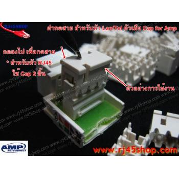 ฝากดสาย สำหรับ LAN/TEL ตัวเมีย สิ่งเล็กๆที่มีประโยชน์มาก กันสายหลุด กันฝุ่น Modular Cap for AMP(ถุง10ตัว)